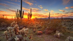 Météo à Arizona en août 2014