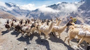 Météo à Bolivie en mars 2026