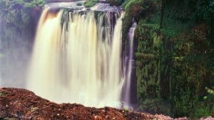 Météo à Gabon en septembre 2025