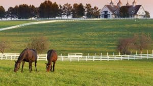 Kentucky – température, climat et météo toute l’année