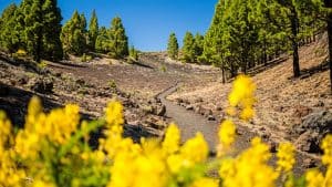 Météo à La Palma en janvier 2015