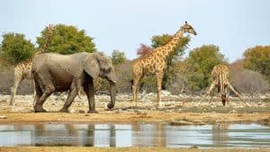 Namibie – température, climat et météo toute l’année