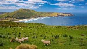 Nouvelle Zélande – température, climat et météo toute l’année