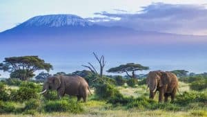 Tanzanie – température, climat et météo toute l’année