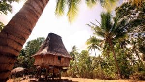 Timor oriental – température, climat et météo toute l’année
