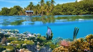 Bocas del Toro – température, climat et météo toute l’année