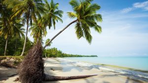 Météo à Khao Lak en janvier 2026