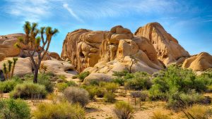 Parc National de Joshua Tree – température, climat et météo toute l’année