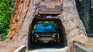 Parc national de Redwood – température, climat et météo toute l’année