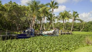 Parc national des Everglades – température, climat et météo toute l’année
