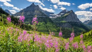 Parc national des glaciers – température, climat et météo toute l’année