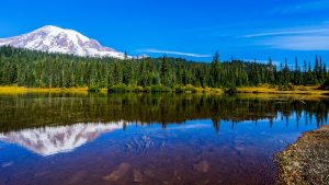 Parc national du Mont Rainier – température, climat et météo toute l’année