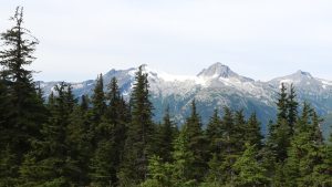 Parc national et réserve Gates of the Arctic – température, climat et météo toute l’année