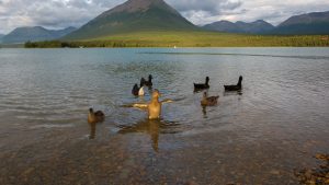 Parc national et réserve nationale de Lake Clark – température, climat et météo toute l’année