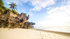 Diani Beach – température, climat et météo toute l’année