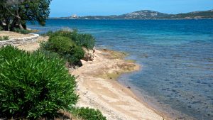 Météo à Cannigione en août 2015