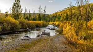 Elk River – température, climat et météo toute l’année