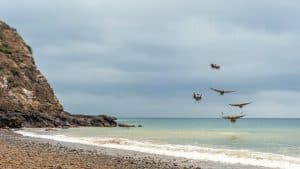 Isla de La Plata – température, climat et météo toute l’année