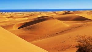 Météo à Maspalomas en novembre 2025