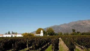 Mendoza – température, climat et météo toute l’année