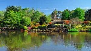 Toowoomba – température, climat et météo toute l’année