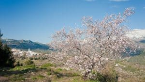 Confrides – température, climat et météo toute l’année