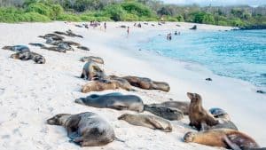 Météo à Îles Galápagos en mars 2014