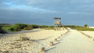 San José del Cabo – température, climat et météo toute l’année
