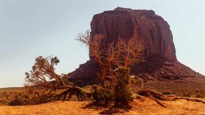 Oljato–Monument Valley – température, climat et météo toute l’année