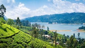 Météo à Kandy en août 2025