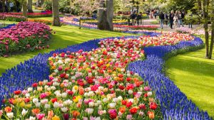 Keukenhof – température, climat et météo toute l’année