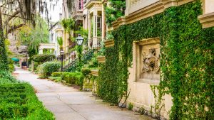 Savannah – température, climat et météo toute l’année