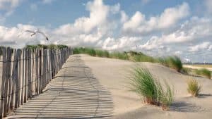 Sint Maartenszee – température, climat et météo toute l’année