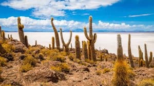 Isla Incahuasi – température, climat et météo toute l’année