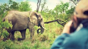 Krugerpark – température, climat et météo toute l’année