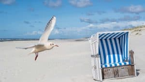 Îles de la Frise-Orientale – température, climat et météo toute l’année