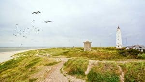 Blåvand – température, climat et météo toute l’année