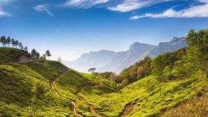 Kerala – température, climat et météo toute l’année