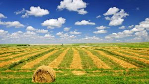 Saskatchewan – température, climat et météo toute l’année