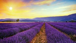 Vaucluse – température, climat et météo toute l’année