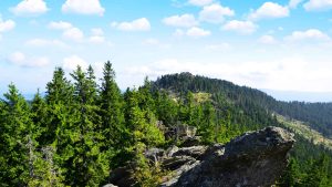 Météo à Forêt de Bavière en juillet 2025
