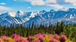 Yukon – température, climat et météo toute l’année