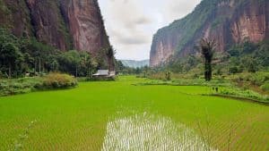 Sumatra – température, climat et météo toute l’année