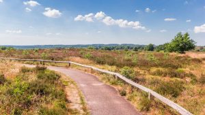 Twente – température, climat et météo toute l’année