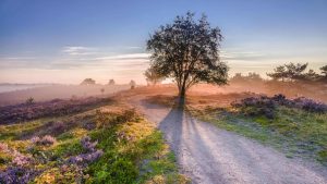 Veluwe – température, climat et météo toute l’année