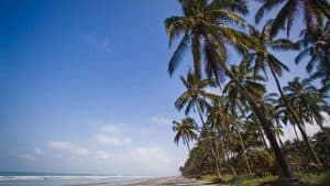 Cojimíes – température, climat et météo toute l’année