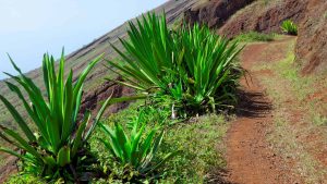 São Nicolau – température, climat et météo toute l’année
