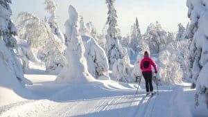 Kuusamo – température, climat et météo toute l’année