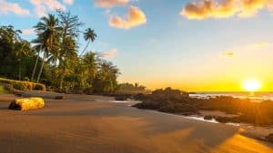 Puerto Jiménez – température, climat et météo toute l’année