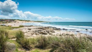 Rocha – température, climat et météo toute l’année